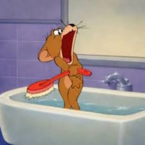 Jerry meme bối rối và khó hiểu
