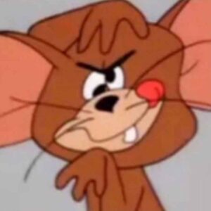 Jerry meme mặt khó đỡ và hài hước