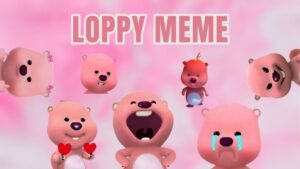 Loopy meme cute hài hước vô tri với nhiều biểu cảm