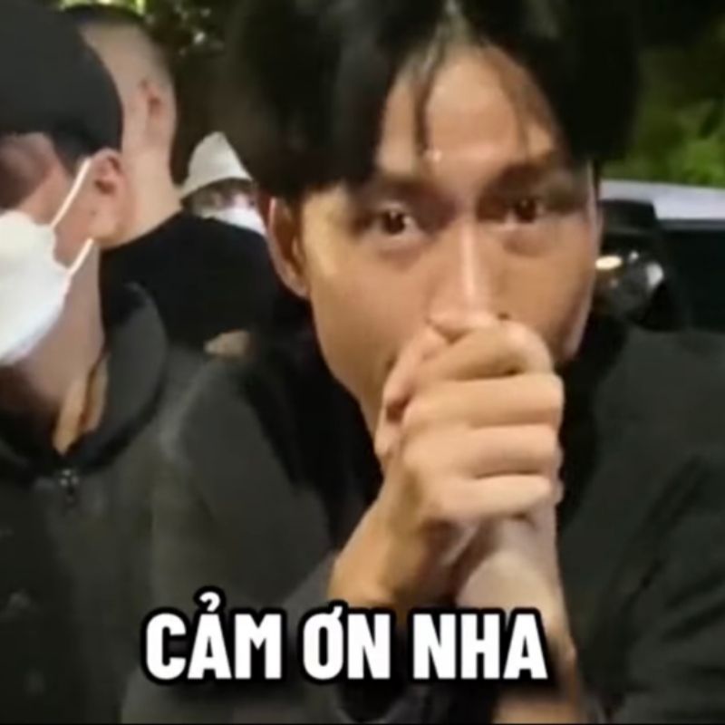 Meme cảm ơn chân thành