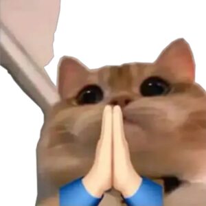 Meme cảm ơn cute chắp tay đáng yêu