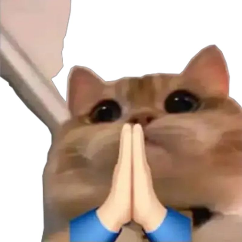 Meme cảm ơn cute chắp tay đáng yêu