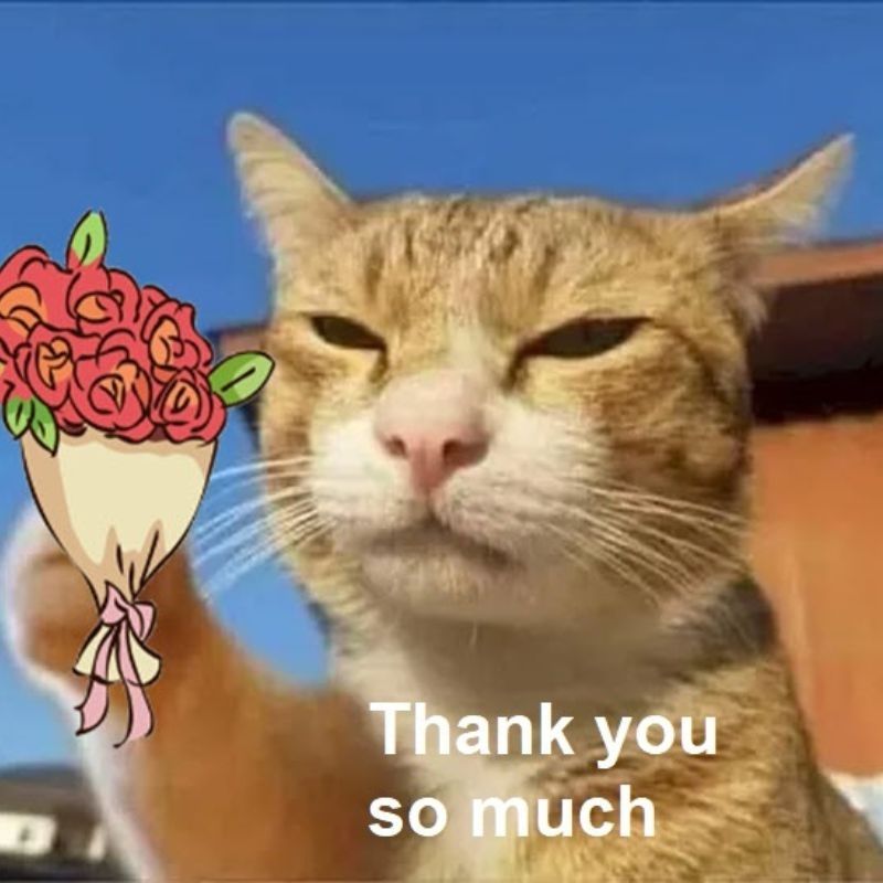 Meme cảm ơn vì đã cứu nguy