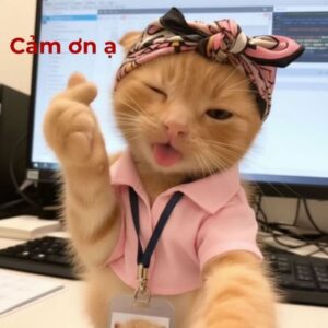 Meme cảm ơn lịch sự