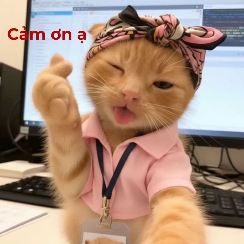 Meme cảm ơn lịch sự