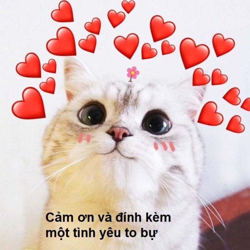 Meme cảm ơn ôm tim dễ thương