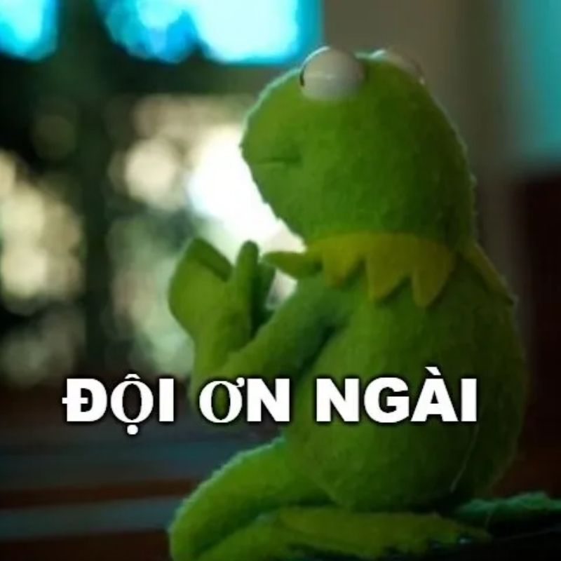 Meme đội ơn bạn nhiều lắm