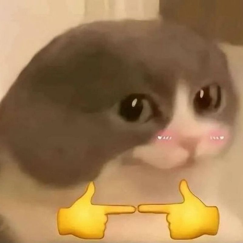 Meme ngại biểu cảm