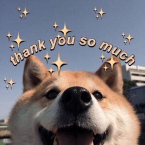 Thank You meme cute dễ thương