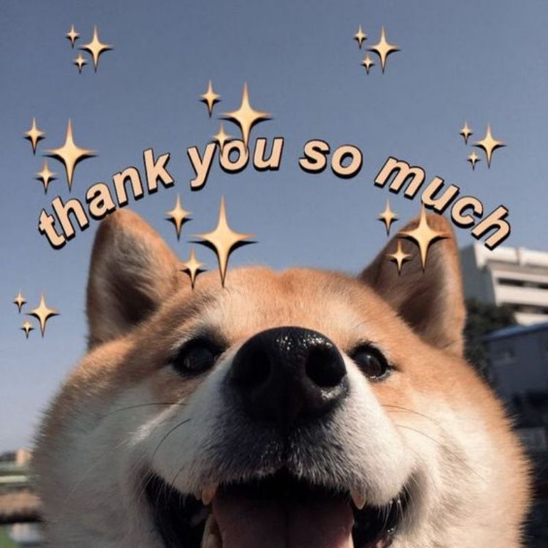 Thank You meme cute dễ thương