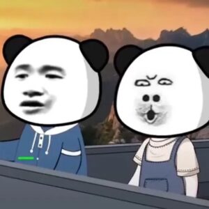 Bộ ảnh meme gấu trúc với nhiều biểu cảm khác nhau