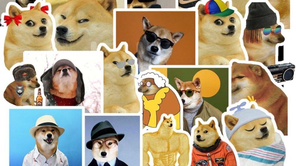Bộ sưu tập ảnh meme chó nhiều biểu cảm