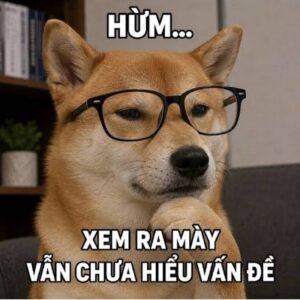 Cách tải và copy meme chó trên AndreyPhoto