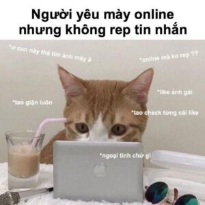Cách chọn meme mèo để rep tin nhắn và comment