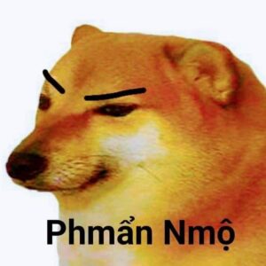 Meme Cheems và Doge
