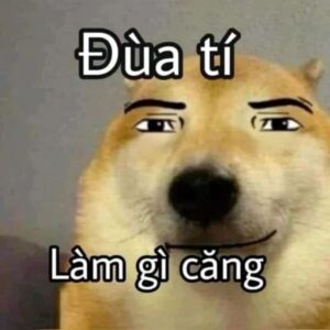 Meme chó dùng để comment Facebook