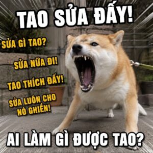 Meme chó sủa biểu cảm gắt
