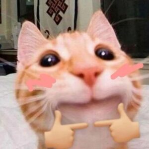 Meme e thẹn với biểu cảm bẽn lẽn