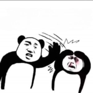 Meme gấu trúc bó tay với biểu cảm bất lực