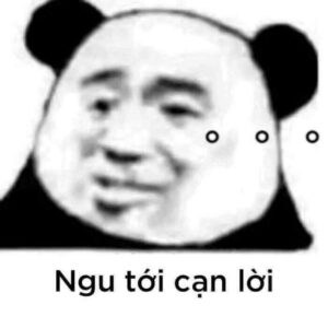 Meme gấu trúc cạn lời với vẻ mặt bất lực