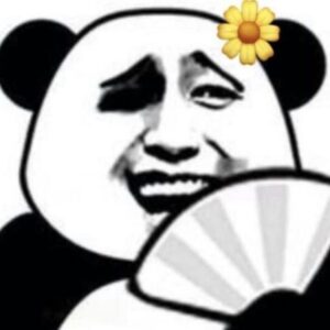 Meme gấu trúc cute với biểu cảm ngại ngùng dễ thương