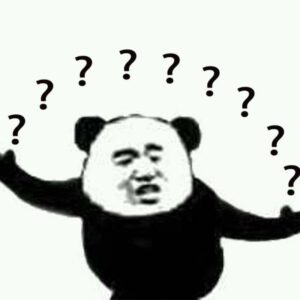 Meme gấu trúc hỏi chấm với vẻ mặt khó hiểu