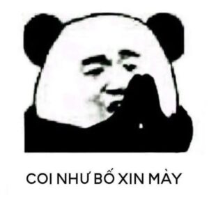 Meme gấu trúc khoanh tay với vẻ mặt khó chịu