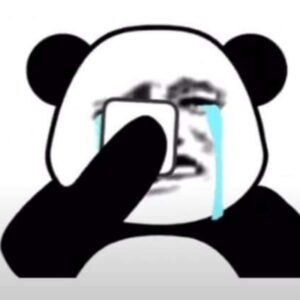 Meme gấu trúc khóc với biểu cảm buồn và bất lực