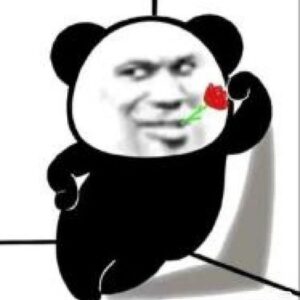 Meme gấu trúc làm nũng với biểu cảm đáng yêu