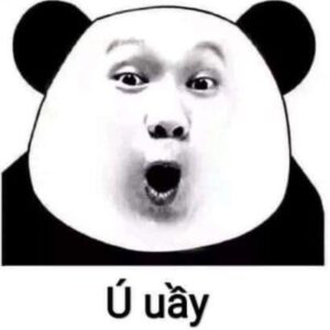 Meme gấu trúc mặt người phong cách Panda Head
