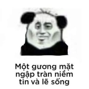 Meme gấu trúc mệt mỏi với khuôn mặt phờ phạc