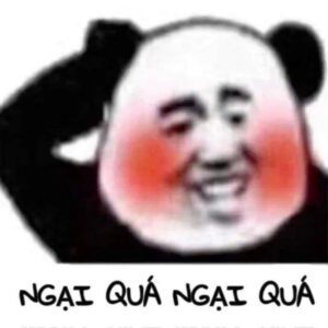 Meme gấu trúc ngại ngùng dễ thương