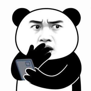 Meme gấu trúc ngơ ngác với biểu cảm bất ngờ