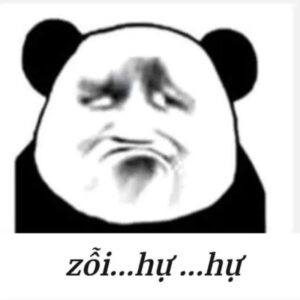 Meme gấu trúc nhìn dữ với ánh mắt đe dọa