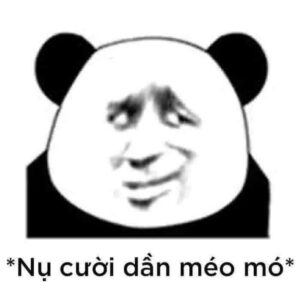 Meme gấu trúc nhìn xéo đầy nghi ngờ