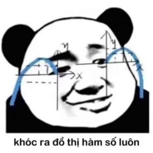 Meme gấu trúc rơi nước mắt với biểu cảm đáng thương