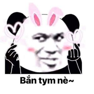Meme gấu trúc thả tim dễ thương