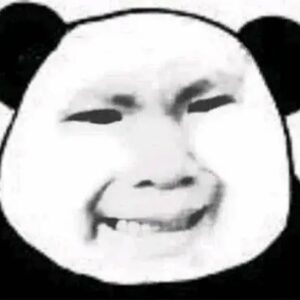 Meme gấu trúc thất vọng với vẻ mặt chán nản