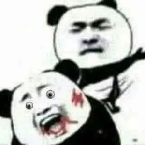 Meme gấu trúc Trung Quốc Panda Head với nhiều khuôn mặt người