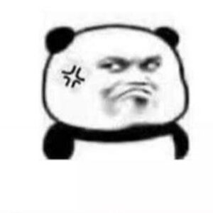 Meme gấu trúc tức giận với khuôn mặt nổi cáu