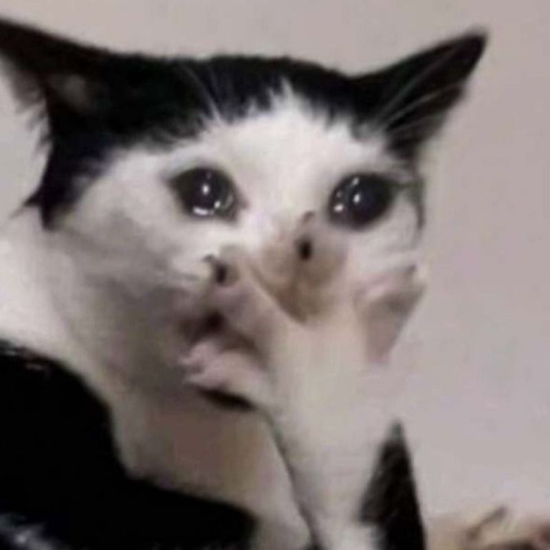 Meme ăn vạ khóc với khuôn mặt phụng phịu