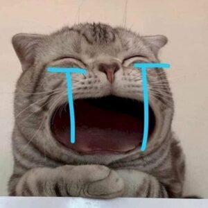 Meme khóc cute với biểu cảm đáng yêu và mắt rưng rưng