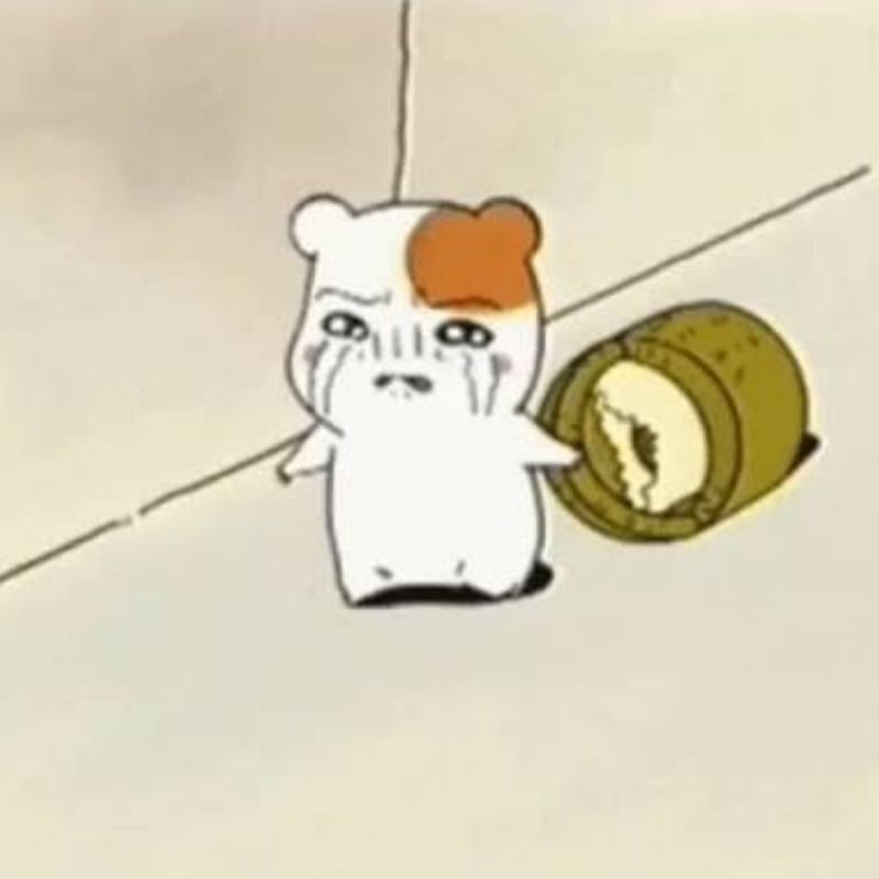 Meme khóc nhè với biểu cảm dỗi và ăn vạ