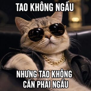 Meme mèo ngầu với vẻ mặt lạnh lùng