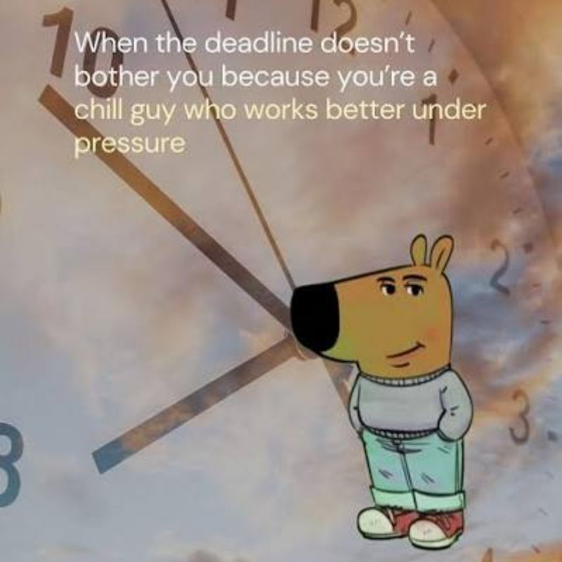 Chill Guy ngồi trước laptop khi deadline đến gần
