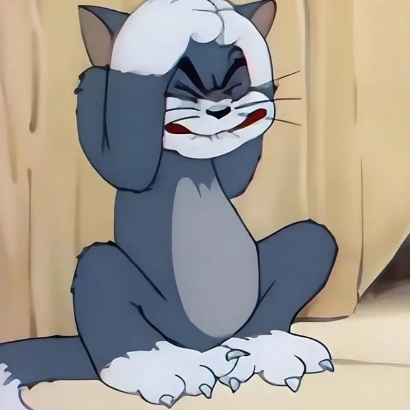 Cách chọn meme mèo ôm đầu theo từng tình huống